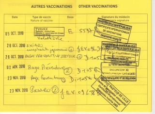 adeline-vaccins-001