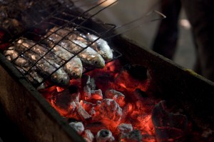 Sardines sur la grille