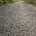 Le sol en "peau d'éléphant" du Pitch Lake