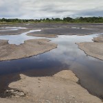 Au milieu du Pitch Lake