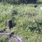 Le village de Blanchisseuse à Trinidad & Tobago