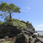 Trek Blanchisseuse - Paria Bay