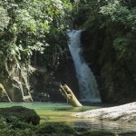 Trek Blanchisseuse - Paria Bay