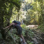 Trek Blanchisseuse - Paria Bay