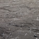 La surface d'une plaque de goudron au Pitch Lake